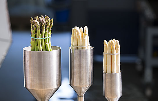 Bündelhilfe für Spargel